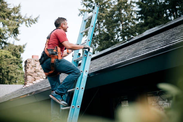 Best Roof Maintenance and Cleaning  in New Baltimore, OH